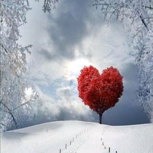 Meet your Posher, Monqiue